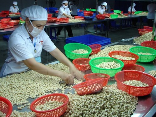 越南出口企业努力满足中国市场的要求 - ảnh 1