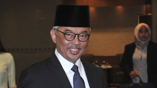 Malaisie : le sultan Abdullah couronné nouveau roi  - ảnh 1