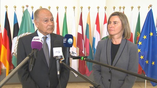 Pas de consensus entre l'UE et la Ligue des Etats arabes sur la Syrie - ảnh 1