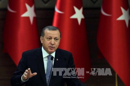 Erdogan veut contrôler la zone de sécurité dans le nord de la Syrie - ảnh 1