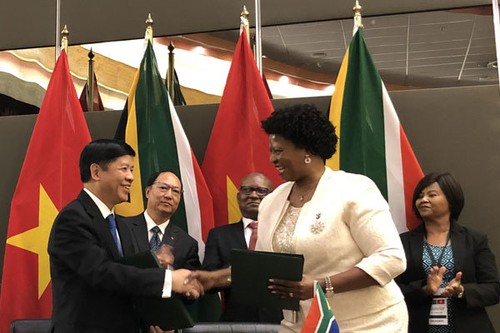 Afrique du Sud-Vietnam renforcent leurs relations commerciales  - ảnh 1