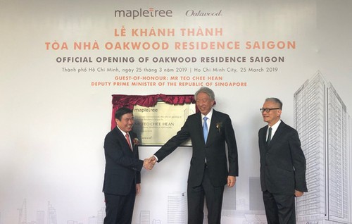Le vice-Premier ministre singapourien visite le projet V-Plaza - ảnh 1