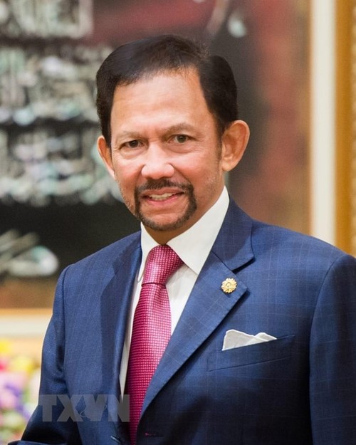 Le Vietnam et Brunei renforcent leurs liens - ảnh 1
