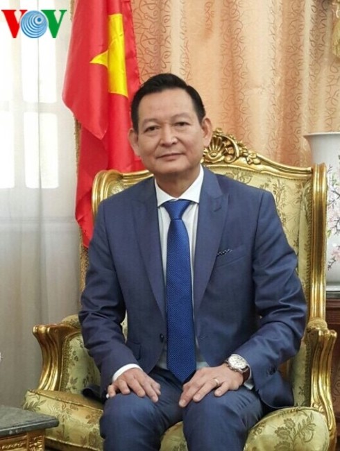 L’Ambassade du Vietnam en Égypte prête à protéger les citoyens vietnamiens en Libye  - ảnh 1