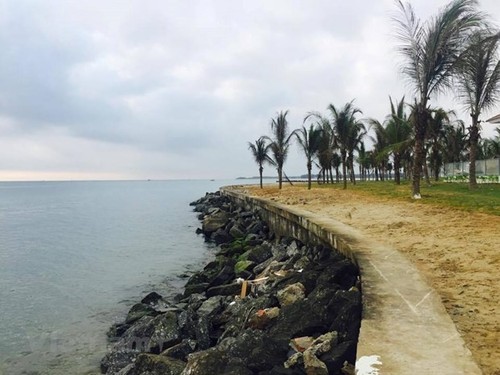 Des experts hollandais proposent des solutions pour réduire les érosions à la plage de Cua Dai - ảnh 1
