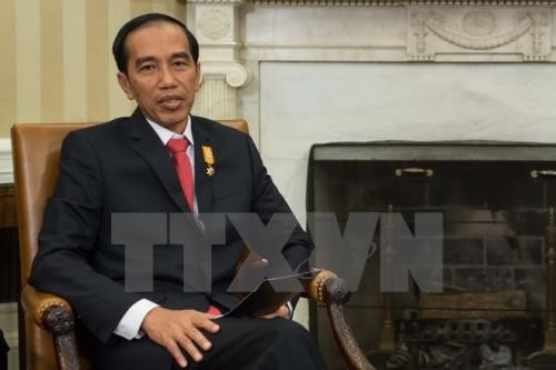 Indonésie: Joko Widodo donné gagnant de l'élection présidentielle  - ảnh 1