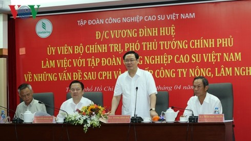 Vuong Dinh Huê demande au groupe Caoutchouc de décupler son capital - ảnh 1