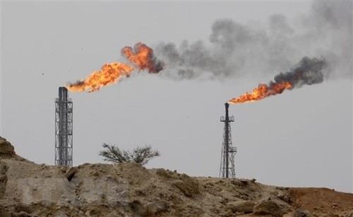 L'Iran ne croit pas à l'interdiction totale des exportations de pétrole iranien  - ảnh 1