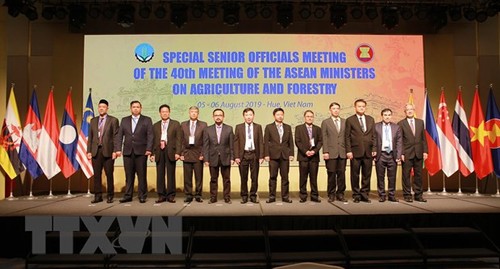 Conférence des responsables des secteurs sylvicoles et agricoles de l’ASEAN+3 - ảnh 1