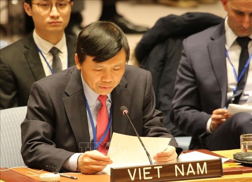 A l’ONU, le Vietnam s’engage pour les droits de l’homme - ảnh 1