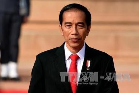 Indonésie: Joko Widodo annonce la liste du nouveau cabinet - ảnh 1