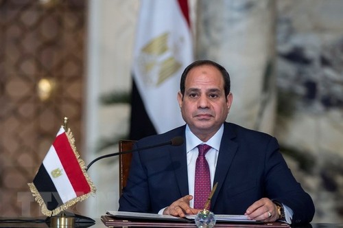L’Égypte et l’Allemagne coopèrent pour résoudre la crise libyenne - ảnh 1