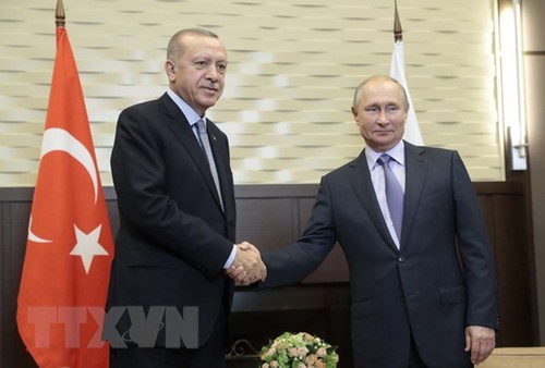 Conversation téléphonique entre les présidents russe et turc - ảnh 1