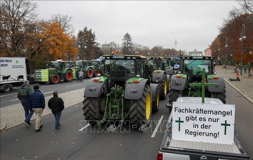 Des milliers d’agriculteurs manifestent à Berlin contre la politique environnementale - ảnh 1