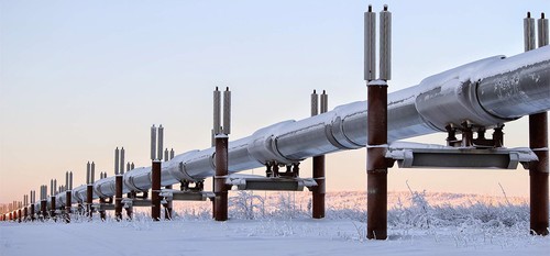 Reprise des livraisons de pétrole russe en Biélorussie - ảnh 1