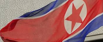 Sanctions américaines visant les travailleurs nord-coréens expatriés - ảnh 1