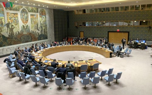 Le Vietnam dirige la réunion du Conseil de sécurité de l’ONU sur la situation à Chypre et en Libye - ảnh 1