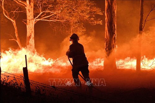 La capitale australienne lève l'état d'urgence alors que la menace d'incendie diminue - ảnh 1