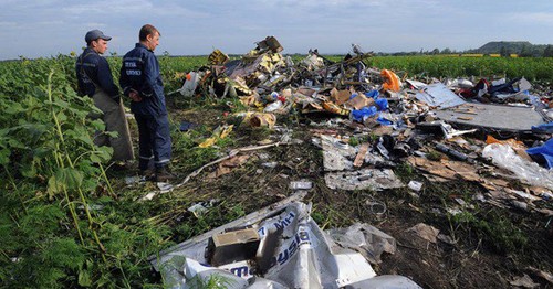 Crash du vol MH17: le procès s'ouvre aux Pays-Bas, les accusés absents  - ảnh 1