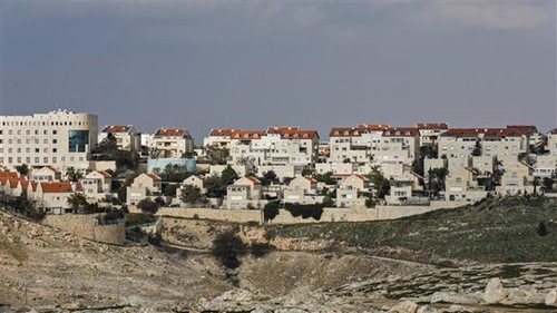 La Palestine rejette le plan d’annexion israélien en Cisjordanie - ảnh 1