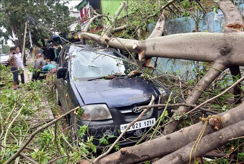 Le bilan du cyclone Amphan dépasse les 100 morts en Inde et au Bangladesh - ảnh 1