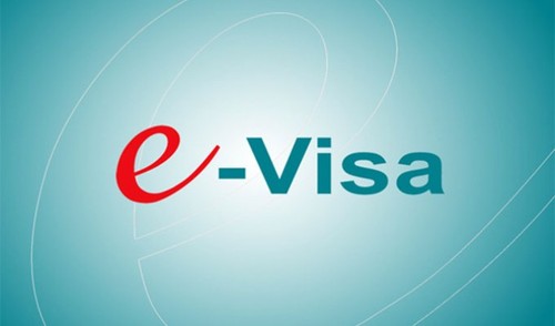 La délivrance de l’e-visa aux citoyens de 80 pays  - ảnh 1