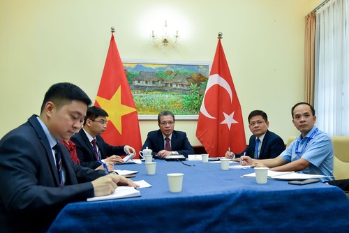 Vietnam-Turquie: Entretien téléphonique de vice-ministres des Affaires étrangères - ảnh 1