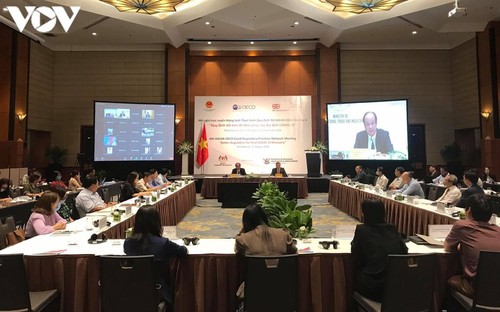 Renforcer la coopération ASEAN-OCDE face à la crise sanitaire - ảnh 1