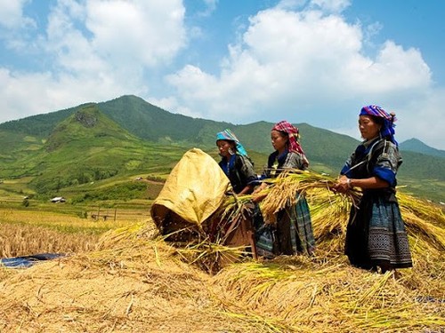   5 ans du Programme « Développer le commerce dans les zones montagneuses, isolées et insulaires » - ảnh 1