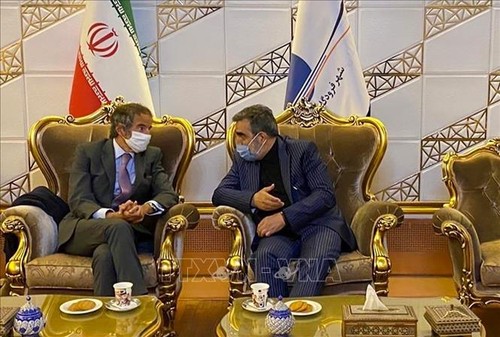 Nucléaire : discussions «constructives» en Iran avec le chef de l’AIEA  - ảnh 1