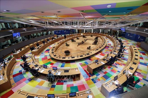 L'UE appelle les États membres à progresser ensemble dans la lutte anti-Covid-19 - ảnh 1