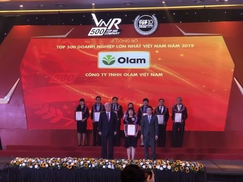 Publication de la liste des 500 plus grandes sociétés vietnamiennes en 2020 - ảnh 1