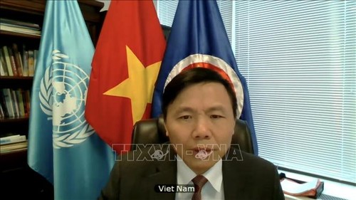   Le Vietnam préside la réunion du groupe de travail sur les tribunaux internationaux - ảnh 1