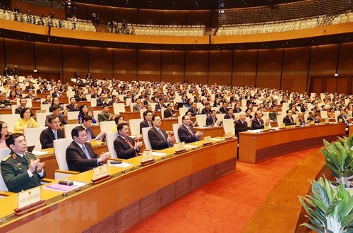 L’Assemblée nationale: bilan de la quatorzième législature - ảnh 2