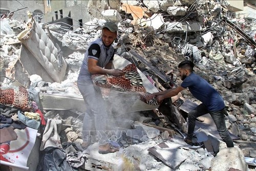 Gaza : l'ONU plaide pour un processus politique de pair avec la reconstruction - ảnh 1