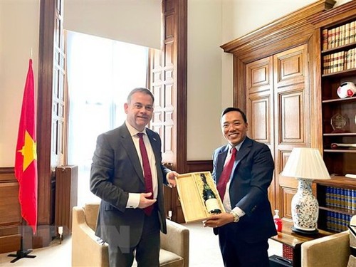 L’ambassadeur Nguyên Hoàng Long reçu par le secrétaire d’État britannique chargé de l’Asie - ảnh 1
