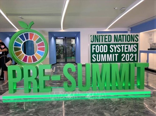 Clôture de la réunion préparatoire au sommet des Nations Unies sur les systèmes alimentaires - ảnh 1