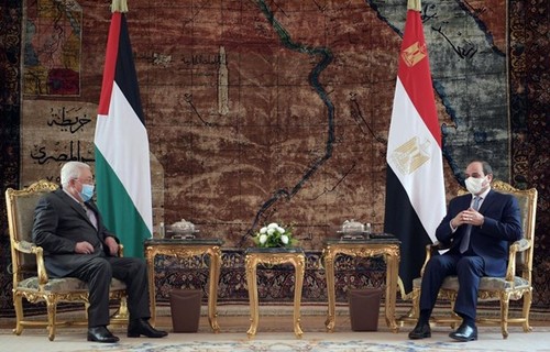Les présidents égyptien et palestinien discutent du processus de paix israélo-palestinien - ảnh 1