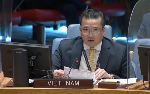 Le Vietnam est préoccupé par la situation dans la région des Grands Lacs - ảnh 1