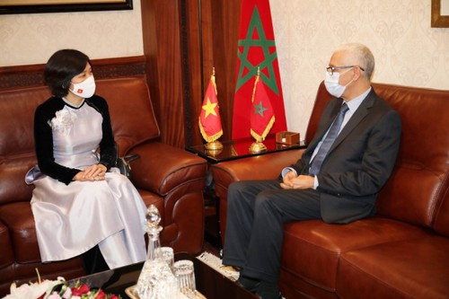 Vietnam-Maroc: renforcer la coopération économique et commerciale      - ảnh 1