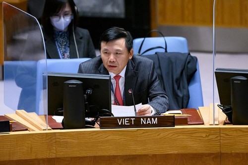 Le Vietnam soutient les opérations de maintien de la paix de l'ONU  - ảnh 1