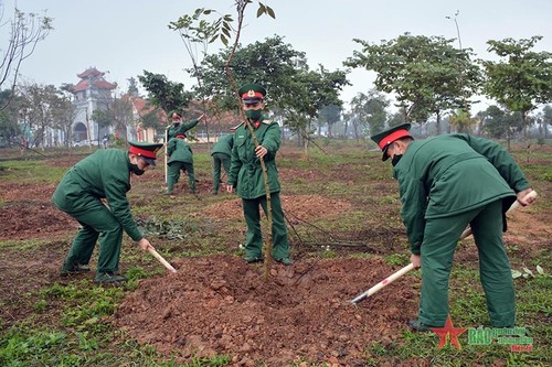 Fête de plantation d'arbres du Printemps: renforcer la plantation forestière - ảnh 1