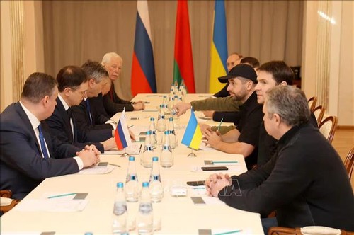 Les pourparlers russo-ukrainiens se poursuivent en ligne - ảnh 1