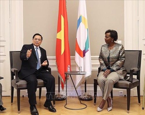 Dynamiser la coopération entre le Vietnam et les pays francophones - ảnh 1