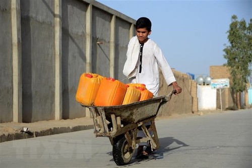 Banque mondiale: les talibans doivent changer leur fusil d’épaule pour éviter un désastre économique - ảnh 1