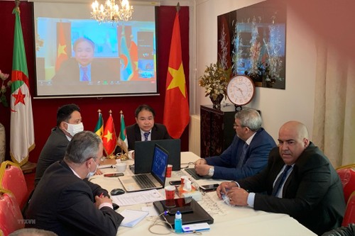 Vietnam-Algérie : conférence virtuelle sur la promotion commerciale   - ảnh 1