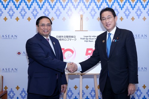 A partir de novembre, le Japon autorisera l’exportation du longane vietnamien - ảnh 1
