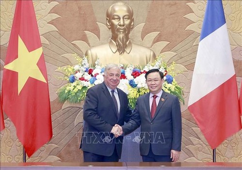 Gérard Larcher achève sa visite officielle au Vietnam - ảnh 1