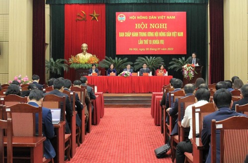 Ouverture du 10e plénum du comité central de l’Association des agriculteurs vietnamiens - ảnh 1