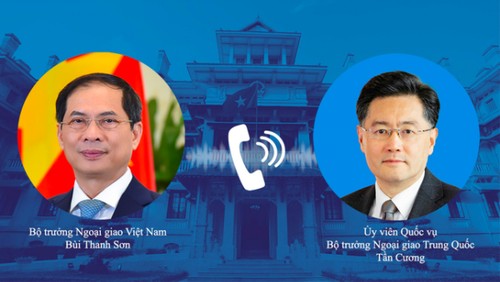 Bùi Thanh Son s’entretient au téléphone avec Qin Gang - ảnh 1